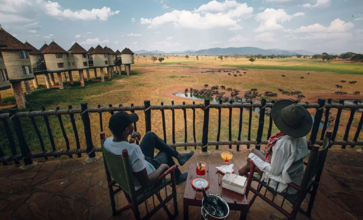Couple toasting champagne at sunset with wildlife in the distance